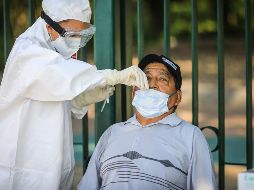 La demanda de pruebas COVID bajó 79% en dos meses. ESPECIAL