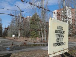 Ucrania ha informado que en la central se ha llevado a cabo la primera rotación de personal desde que las tropas rusas se hicieron con la planta. EFE / S. Dolzhenko