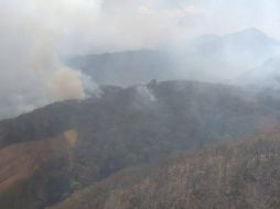 El incendio se registró dentro del Área Estatal de Protección Hidrológica Sierra del Águila, en Etzatlán. ESPECIAL / Semadet