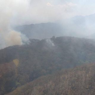 Incendio en Jalisco: Se quema paraje Jiménez en Sierra del Águila, Etzatlán