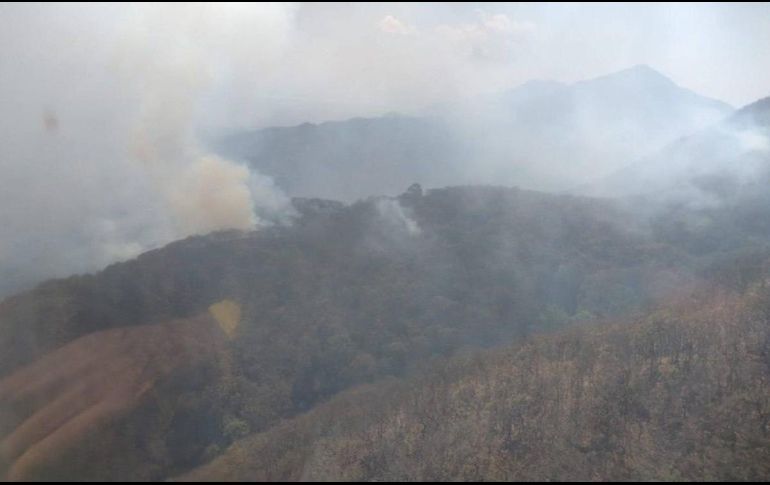 El incendio se registró dentro del Área Estatal de Protección Hidrológica Sierra del Águila, en Etzatlán. ESPECIAL / Semadet
