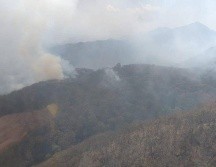 El incendio se registró dentro del Área Estatal de Protección Hidrológica Sierra del Águila, en Etzatlán. ESPECIAL / Semadet