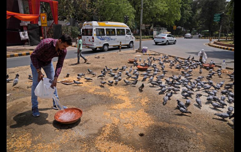 Los meses más calurosos del verano boreal: abril, mayo y junio, suelen ser insoportables en la mayor parte de la India antes de la llegada del monzón. AP/M. Swarup