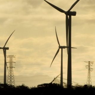 Diputados de Jalisco rechazan reforma eléctrica