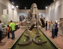 Museo de Paleontología. EL INFORMADOR-J.A. CAMACHO.