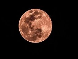 La Luna se colocará a 370 mil 225 km, una distancia considerada cerca desde nuestro planeta. SUN / ARCHIVO