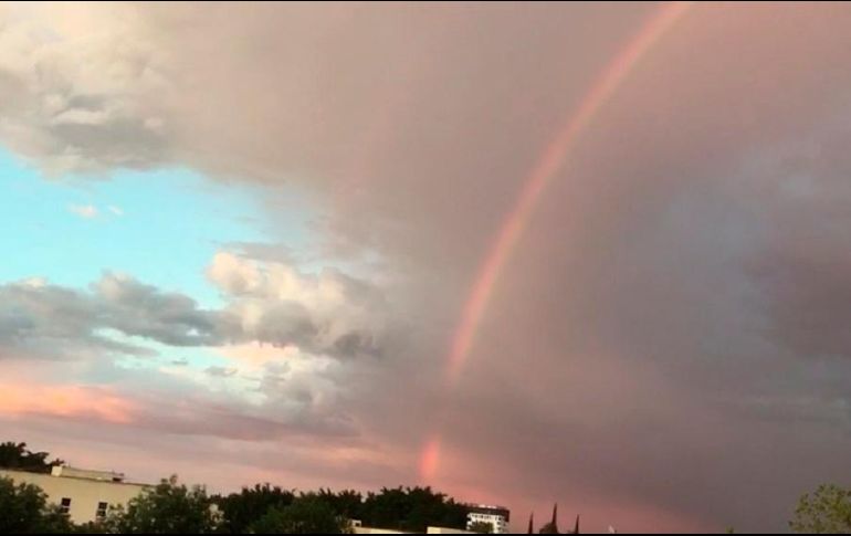El arcoíris que apareció esta tarde brindó una bella estampa a las tardes tapatías. ESPECIAL