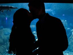 El13 de abril es el Día Mundial del Beso. ESPECIAL/Photo by Kimi Albertson on Unsplash.