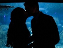 El13 de abril es el Día Mundial del Beso. ESPECIAL/Photo by Kimi Albertson on Unsplash.