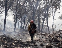 Los hechos señalados ocurrieron el pasado 15 de abril, en la colonia Paraísos del Colli. ESPECIAL