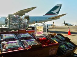 Las berries de Jalisco son exportadas a Estados Unidos, Europa y Asia principalmente. EL INFORMADOR/Archivo
