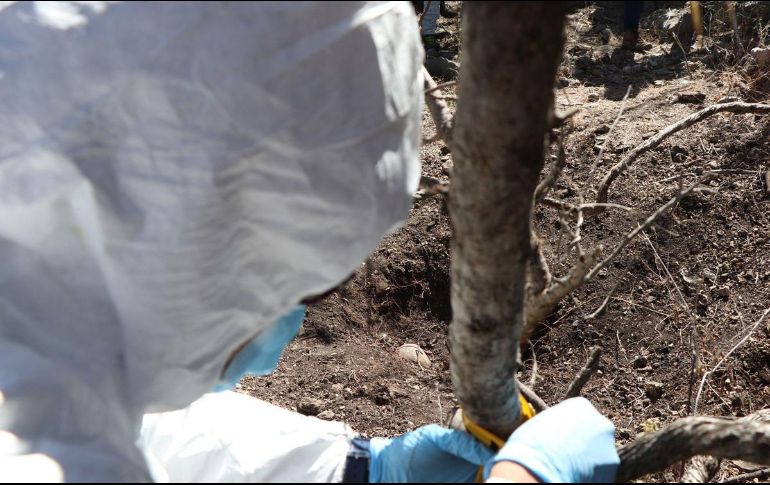 “Madres buscadoras de Sonora”, tiene un listado de más de tres mil desaparecidos y ha rescatado con sus propios recursos más de 900 cuerpos en fosas clandestinas. EFE/Archivo