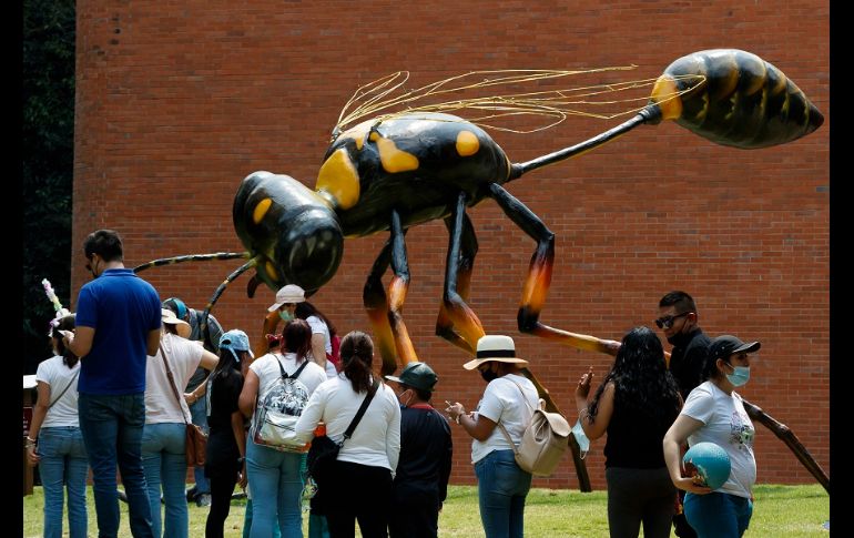 Los visitantes podrán apreciar 11 monumentales insectos a lo largo del recorrido dentro del Bosque de Chapultepec. EFE/J. Méndez