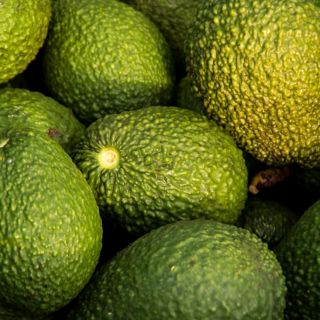 Profepa detecta más de 2,500 hectáreas ilegales de aguacate en el Sur de Jalisco