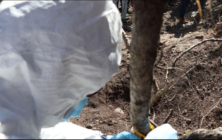 Personal del Instituto Jalisciense de Ciencias Forenses confirmaron el hallazgo de restos humanos dentro de dos fosas. EFE / ARCHIVO