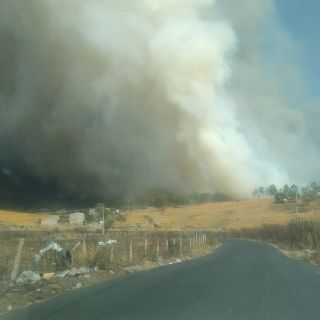 Incendios forestales: Atienden tres incendios en Jalisco