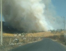 Los incendios fueron atendidos por elementos de Protección Civil y de la Secretaría de Medio Ambiente y Desarrollo Territorial (Semadet). CORTESÍA / Protección Civil de Zapopan