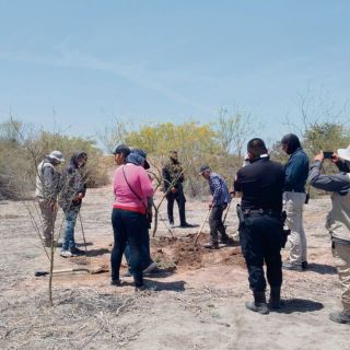 Fiscalía de Sonora descarta que restos sean de hijo de buscadora