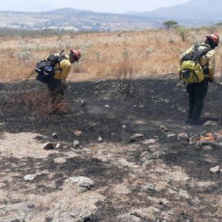 Zapopan: Controlan incendio forestal en el predio Los Charcos