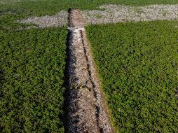El periodista Ferriz de Con insiste en preguntar: 