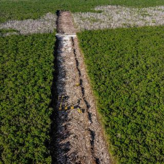 Pedro Ferriz de Con lanza reto a López Obrador tras ser exhibido en "mañanera"