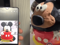 La abismal diferencia entre lo esperado y lo entregado de inmediato generó reacciones entre usuarios. TIKTOK: @elrealfary