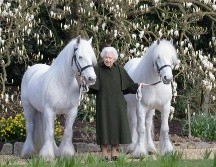 En vísperas de su cumpleaños 96, la Reina Isabel II del Reino Unido compartió un retrato oficial donde posó al lado de sus dos ponis blancos. AFP/ Henry Dallal