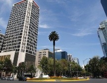 Este domingo se retirara la emblemática palmera, que lleva más de 100 años adornando la glorieta. ESPECIAL