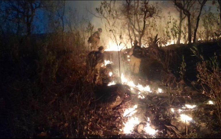 En las acciones colaboraron brigadistas del ejido de San Miguel Cuyutlán, además de dos unidades de la Brigada Forestal y elementos de bomberos municipales. ESPECIAL /