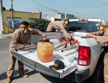 De acuerdo con la Secretaría de Salud, el dengue es una enfermedad febril transmitida mediante la picadura de un mosquito infectado con alguno de los serotipos. EL INFORMADOR / ARCHIVO