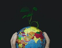 Conoce algunos libros interesantes sobre el planeta en el Día de la Tierra. ESPECIAL/Photo by Fateme Alaie on Unsplash.