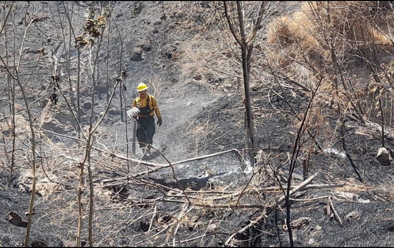 En la zona de la Carretera a Saltillo la Coordinación Municipal de Protección Civil y Bomberos de Zapopan, atendió dos puntos de incendio forestal. ESPECIAL