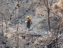 En la zona de la Carretera a Saltillo la Coordinación Municipal de Protección Civil y Bomberos de Zapopan, atendió dos puntos de incendio forestal. ESPECIAL
