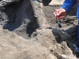 El hallazgo ocurrido en Gaza, simboliza las costumbres de ese territorio así como la cultura que sigue prevaleciendo. NTX / ARCHIVO