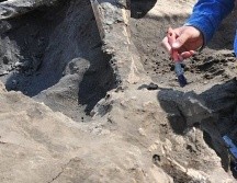 El hallazgo ocurrido en Gaza, simboliza las costumbres de ese territorio así como la cultura que sigue prevaleciendo. NTX / ARCHIVO
