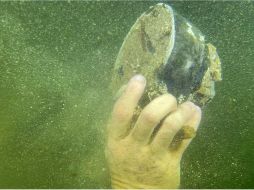 Lamentan que la CFE no tome acciones ante los altos niveles de contaminación que se registraron en el cenote por medidores de su propiedad. SUN/ESPECIAL