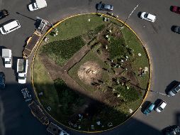 La palma ubicada en el Paseo de la Reforma, en la Ciudad de México, fue retirada debido a que estaba enferma. ElEF