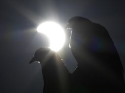 El eclipse solar es uno de los fenómenos astronómicos más sorprendentes de los que podemos ser partícipes. EFE/ARCHIVO