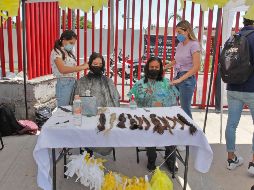 Cristina Lomelí es la organizadora del proyecto llamado “For The Kids”, que cumple su segundo año realizándose. EL INFORMADOR / A. Camacho