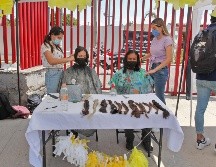 Cristina Lomelí es la organizadora del proyecto llamado “For The Kids”, que cumple su segundo año realizándose. EL INFORMADOR / A. Camacho