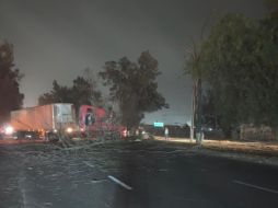 Un árbol que cayó obstruyó la Carretera a Chapala, por lo que hubo congestionamiento vial. ESPECIAL