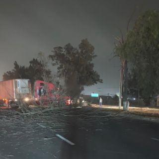 Vientos y lluvias causan apagones y árboles caídos en ZMG