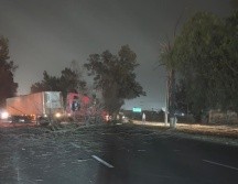 Un árbol que cayó obstruyó la Carretera a Chapala, por lo que hubo congestionamiento vial. ESPECIAL