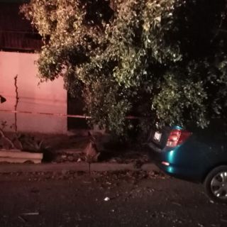 Vientos y lluvia de anoche dejan 19 árboles caídos y colonias sin luz en la ZMG