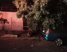 En Guadalajara hubo 14 árboles caídos, mientras que en Tlaquepaque fueron tres y dos más en Zapopan. ESPECIAL / Protección Civil de Guadalajara