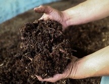 Antes de que existieran los fertilizantes químicos, los agricultores usaban la orina como abono natural. EL INFORMADOR / ARCHIVO