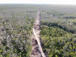 López Obrador asegura que hay empresas inmobiliarias dueñas de terrenos por donde se busca que pase el Tren Maya, que no están aceptando los avalúos y quieren sacar raja. SUN / ARCHIVO