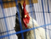 El hombre fue aislado y está siendo tratado con un medicamento antivirus. EFE / ARCHIVO