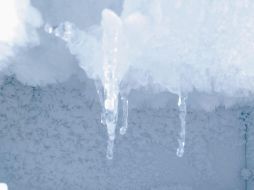 Agentes abrieron un arcón congelador situado en el garaje de la vivienda y hallaron el cuerpo de la anciana. ESPECIAL/Photo by Dev Benjamin on Unsplash