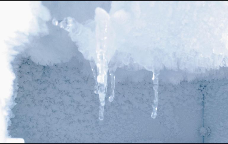 Agentes abrieron un arcón congelador situado en el garaje de la vivienda y hallaron el cuerpo de la anciana. ESPECIAL/Photo by Dev Benjamin on Unsplash